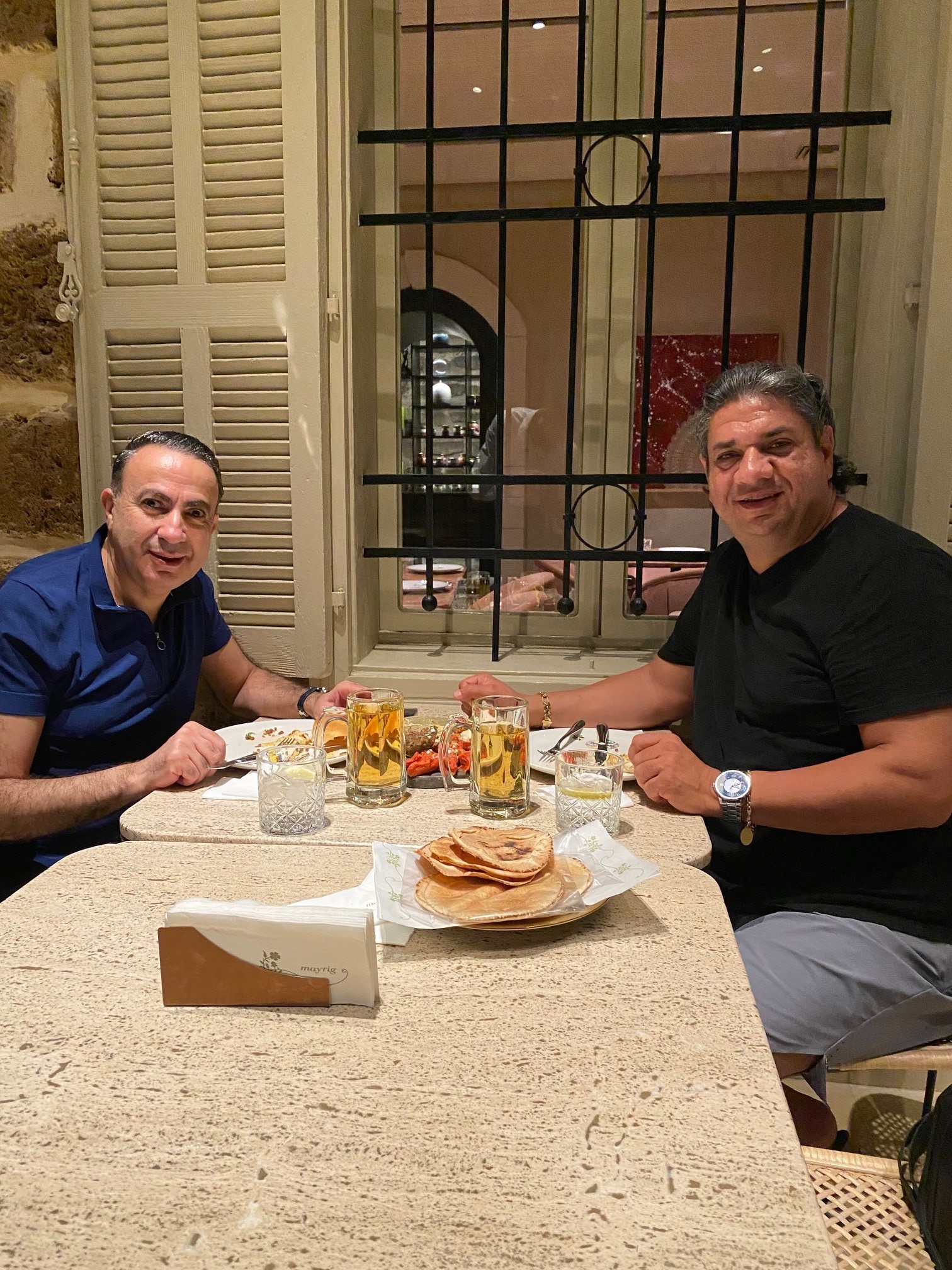 Meetings with ministers, dignitaries and members of parliament